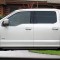 Painted Body Side Moldings Made for The 2015-2025 Ford